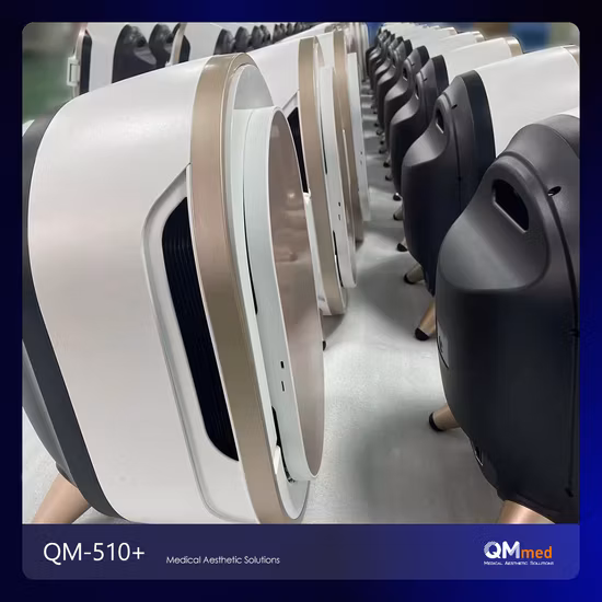 2023 Analizzatore della pelle con lampada in legno potabile all'ingrosso